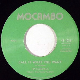 Ephemerals / Call It What You Want